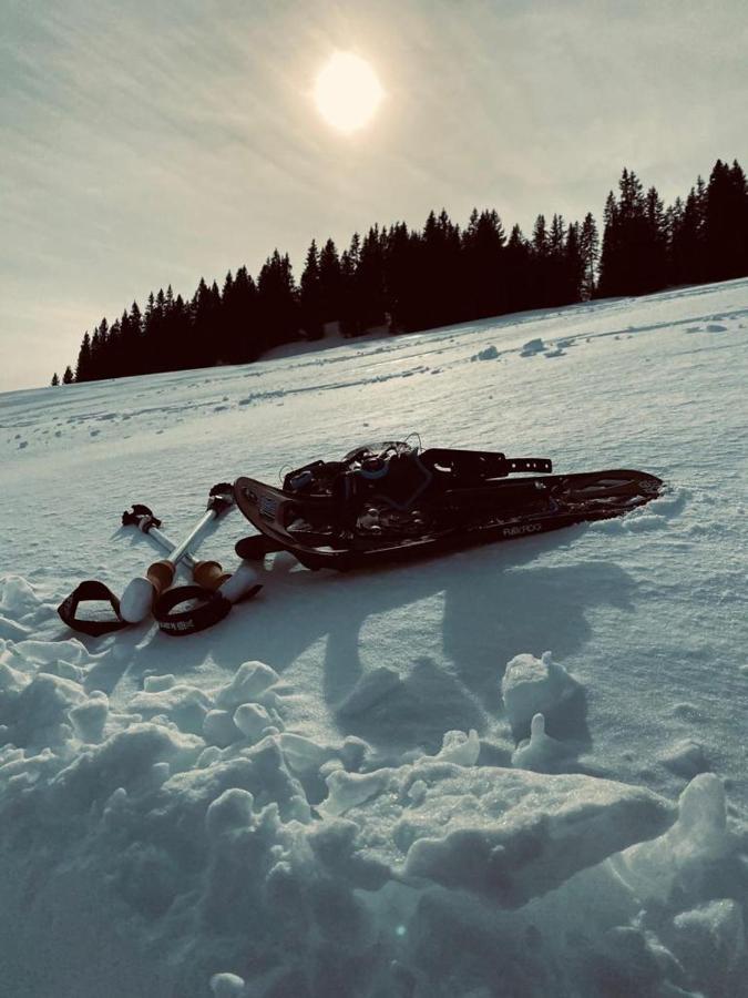 Wolfgangsee Seeblickplatzl 220 - Mit Tollem Seeblick! Strobl Eksteriør billede