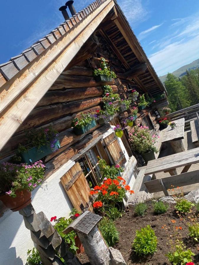Wolfgangsee Seeblickplatzl 220 - Mit Tollem Seeblick! Strobl Eksteriør billede